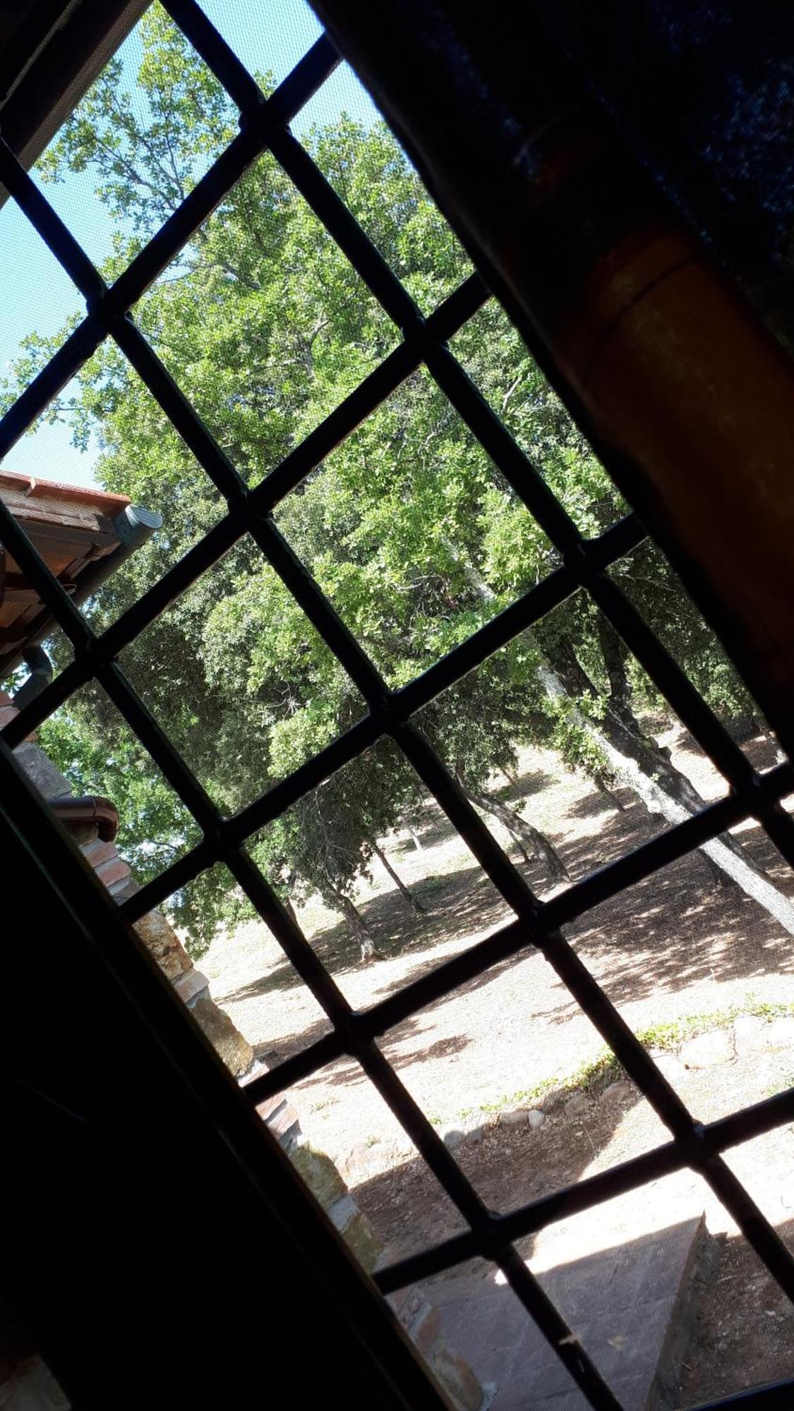 Agriturismo Podere San Lorenzo 1866 ماسا ماريتيما المظهر الخارجي الصورة