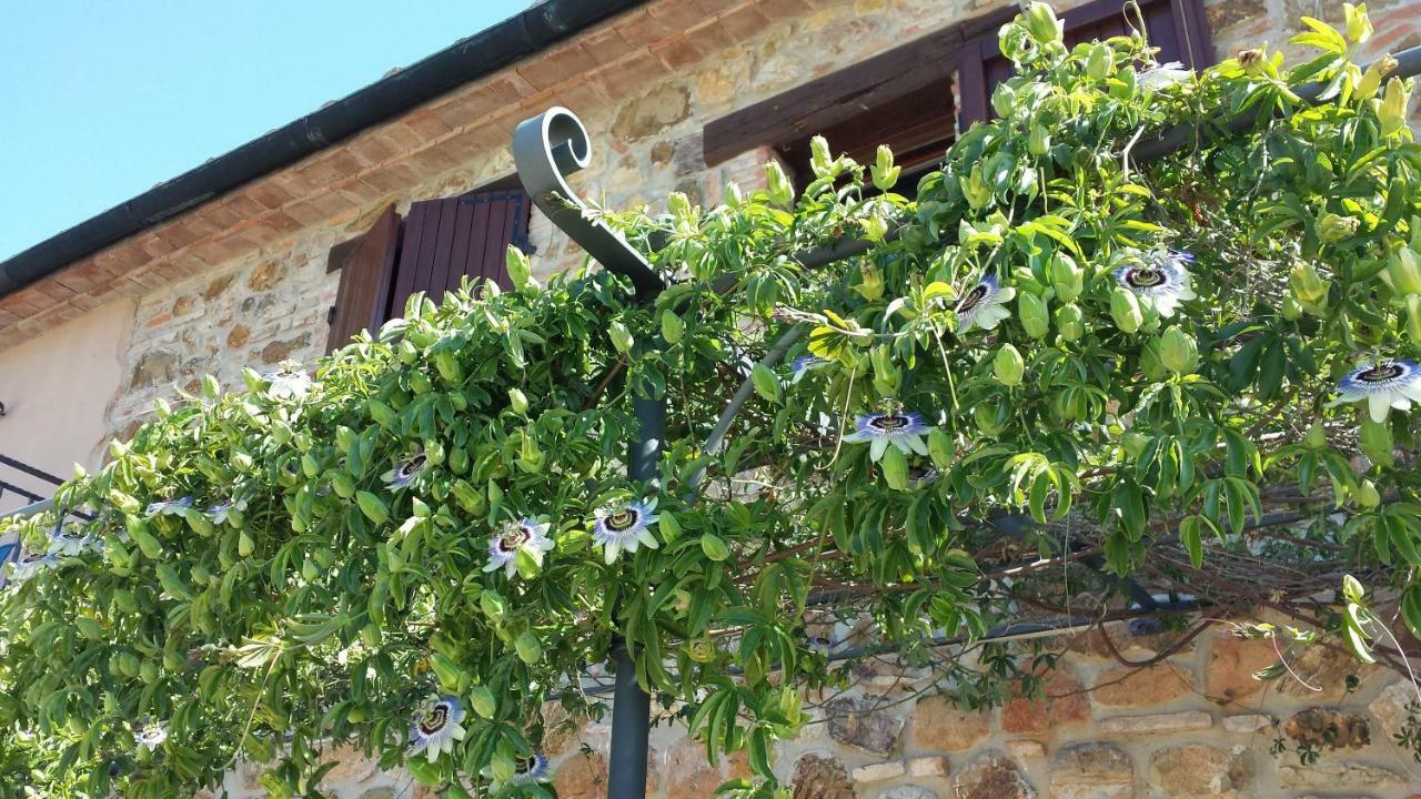 Agriturismo Podere San Lorenzo 1866 ماسا ماريتيما المظهر الخارجي الصورة