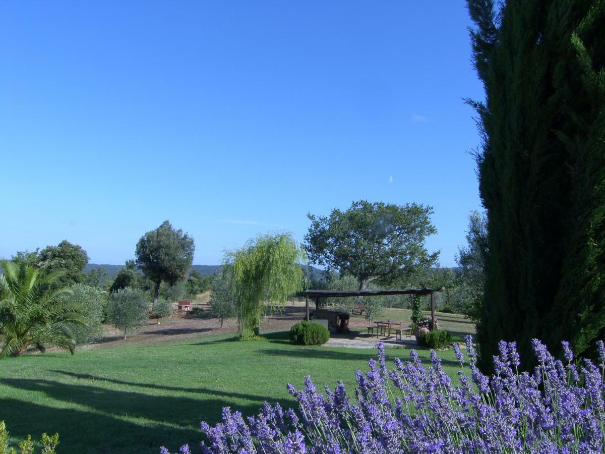 Agriturismo Podere San Lorenzo 1866 ماسا ماريتيما المظهر الخارجي الصورة